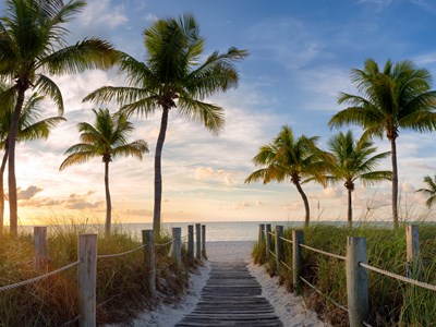 South Florida South Florida